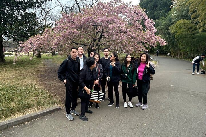 Full Day Tokyo Excursion with Guide-Driver 11-20guests — photo 5