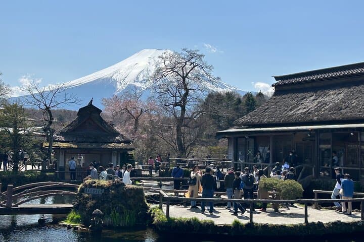 Full day Mt.Fuji&Hakone Tour with Guide-Driver 11-20 guests — photo 4