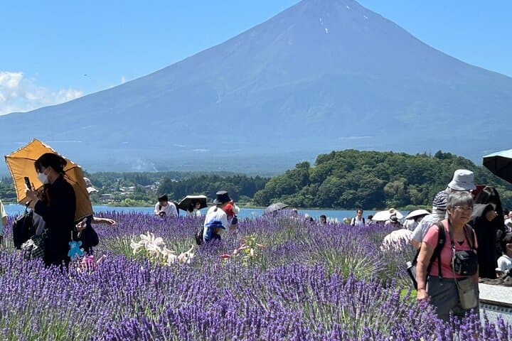 Full day Mt.Fuji&Hakone Tour with Guide-Driver 11-20 guests — photo 10