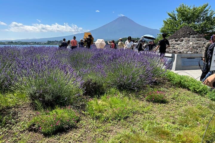 Full day Mt.Fuji&Hakone Tour with Guide-Driver 11-20 guests — photo 11