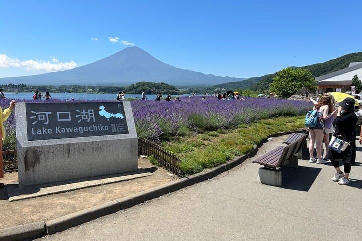 Full day Mt.Fuji&Hakone Tour with Guide-Driver 11-20 guests — photo 12