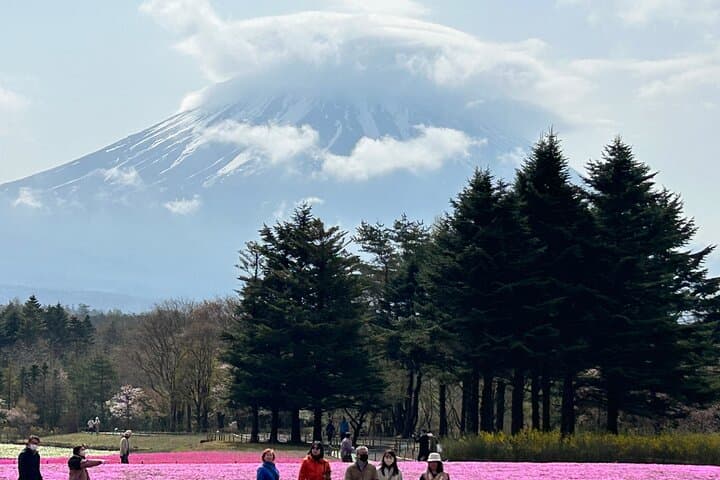 Full day Mt.Fuji&Hakone Tour with Guide-Driver 11-20 guests — photo 16