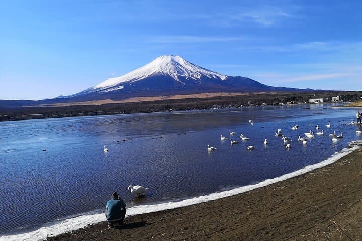 Tokyo: Mount Fuji One Day Trip Lake Kawaguchi & Lake Yamanaka — photo 7