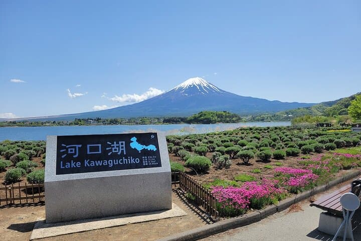 Tokyo: Mount Fuji One Day Trip Lake Kawaguchi & Lake Yamanaka — photo 8
