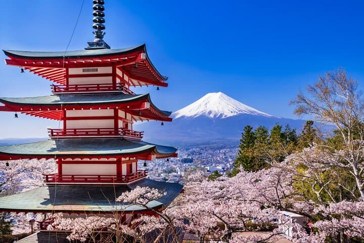 Tokyo: Mount Fuji One Day Trip Lake Kawaguchi & Lake Yamanaka — photo 13