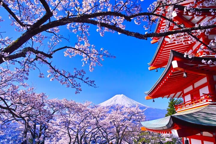 Tokyo: Mount Fuji One Day Trip Lake Kawaguchi & Lake Yamanaka — photo 14