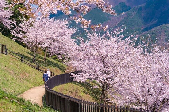 Tokyo: Mount Fuji One Day Trip Lake Kawaguchi & Lake Yamanaka — photo 15