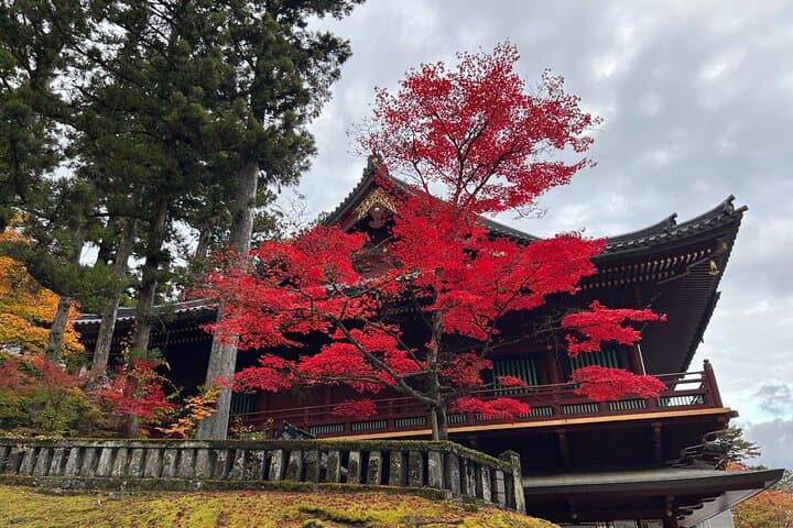 Full day Nikko Tour with Guide-driver 11-20 guests — photo 5