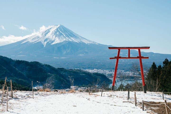 Mount Fuji Panoramic View and Shopping Day Tour — photo 8