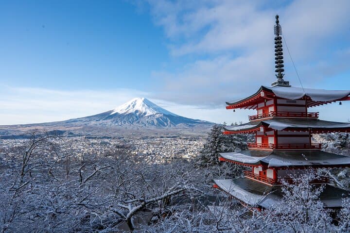 Half-Day Mt. Fuji Scenic Drive: 3-Hour Tour — photo 6