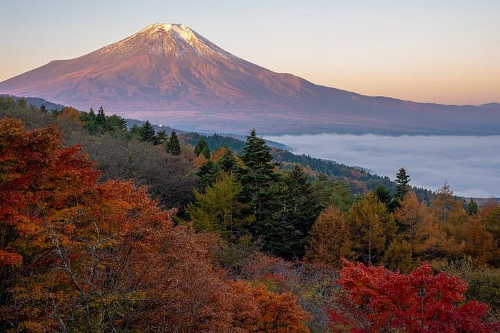 Half-Day Mt. Fuji Scenic Drive: 3-Hour Tour — photo 15