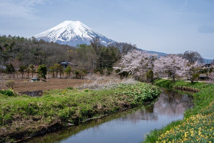 Half-Day Mt. Fuji Scenic Drive: 3-Hour Tour — photo 16