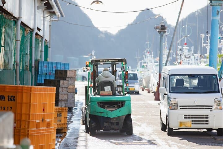 Tuna Auction Market Guided Private Tour in Nachi-Katsuura — photo 8