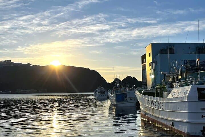 Tuna Auction Market Guided Private Tour in Nachi-Katsuura — photo 12
