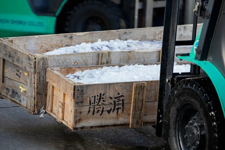 Tuna Auction Market Guided Private Tour in Nachi-Katsuura — photo 10