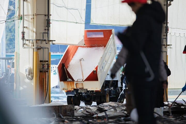 Tuna Auction Market Guided Private Tour in Nachi-Katsuura — photo 9