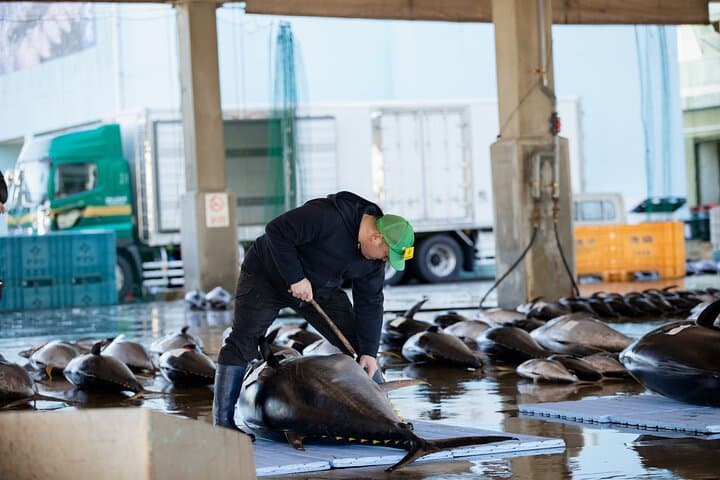 Tuna Auction Market Guided Private Tour in Nachi-Katsuura — photo 5