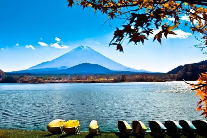 Tokyo: Customized Mt. Fuji & Hakone Sightseeing Private Day Trip — photo 3