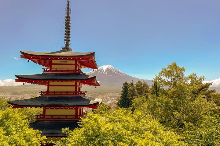 Tokyo: Customized Mt. Fuji & Hakone Sightseeing Private Day Trip — photo 5