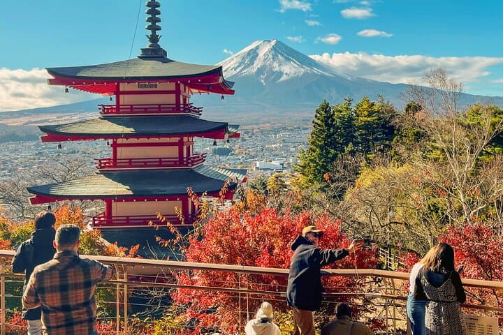 Tokyo: Customized Mt. Fuji & Hakone Sightseeing Private Day Trip — photo 7