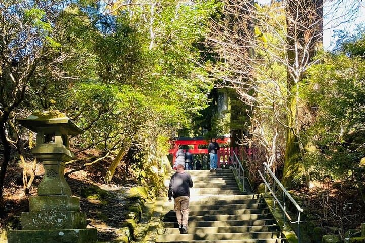 From Tokyo: Mt Fuji private 1 day customizable tour in English — photo 2