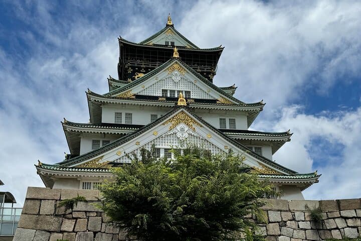 Cherry Blossoms Cruise and Osaka Castle Spring Tour — photo 9