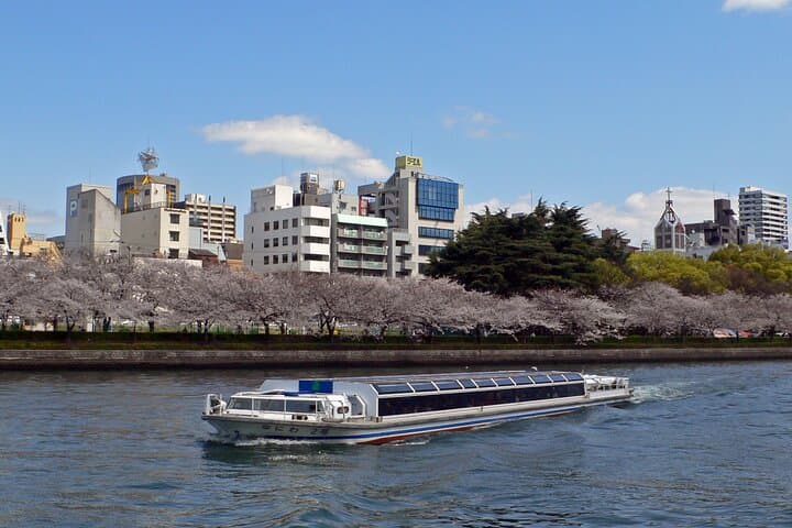 Cherry Blossoms Cruise and Osaka Castle Spring Tour — photo 5