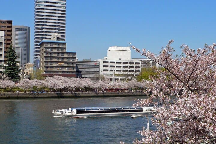 Cherry Blossoms Cruise and Osaka Castle Spring Tour — photo 7