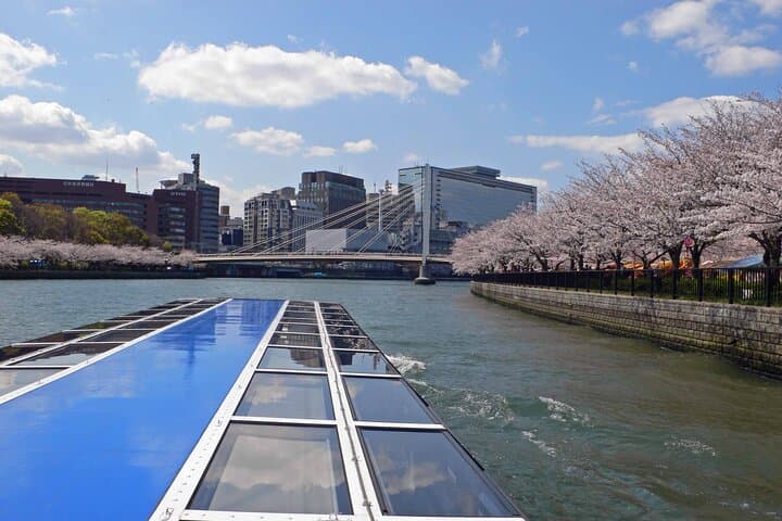 Cherry Blossoms Cruise and Osaka Castle Spring Tour — photo 3