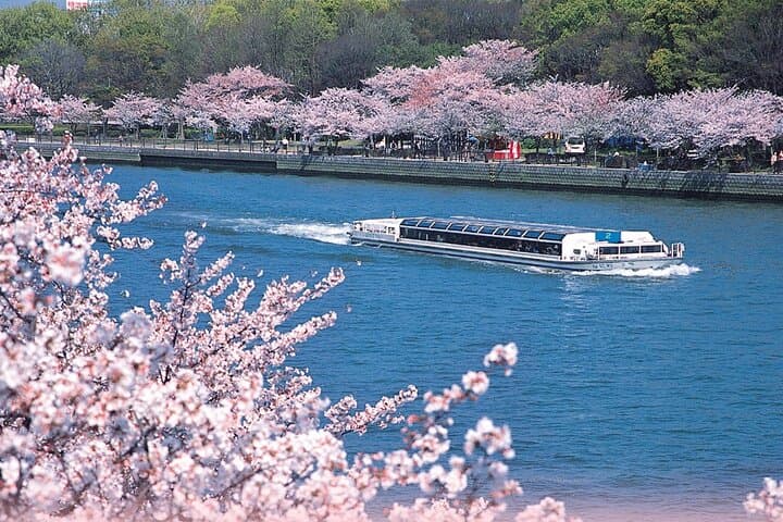Cherry Blossoms Cruise and Osaka Castle Spring Tour — photo 10