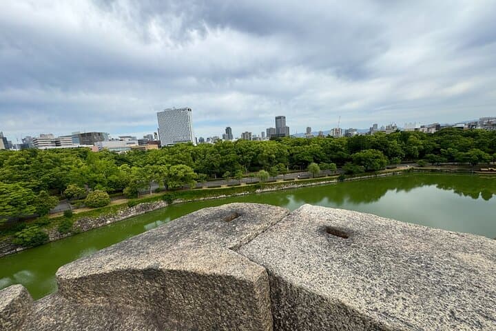 Cherry Blossoms Cruise and Osaka Castle Spring Tour — photo 13