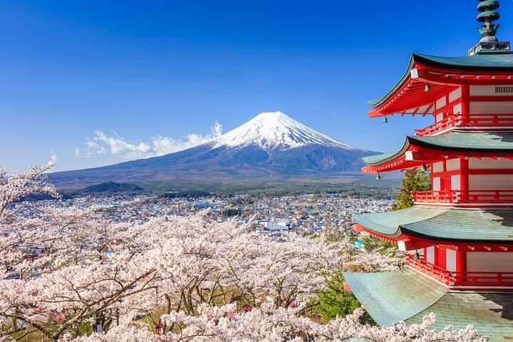 Mount Fuji & Hakone 1-Day Private Van Tour with Hotel Pick-Up — photo 2