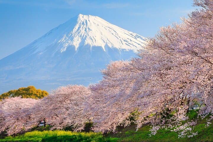 Mount Fuji & Hakone 1-Day Private Van Tour with Hotel Pick-Up