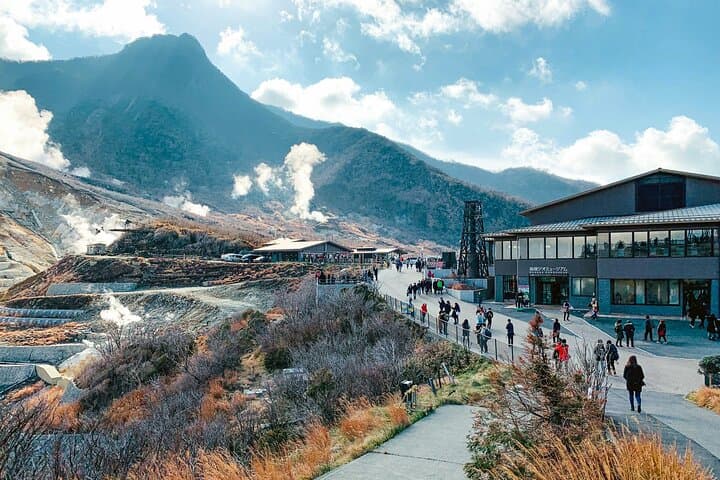 Mount Fuji & Hakone 1-Day Private Van Tour with Hotel Pick-Up — photo 3