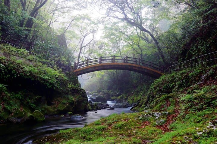 Kumanozu Shrine Takachiho Gorge and Amano Iwato Tour from Fukuoka — photo 7