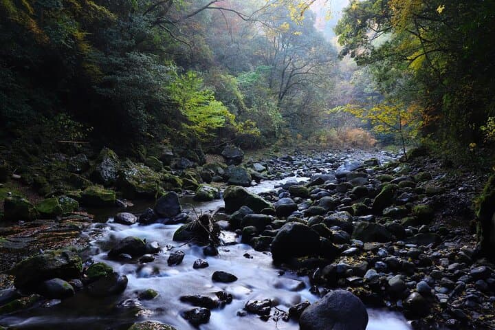 Kumanozu Shrine Takachiho Gorge and Amano Iwato Tour from Fukuoka — photo 8