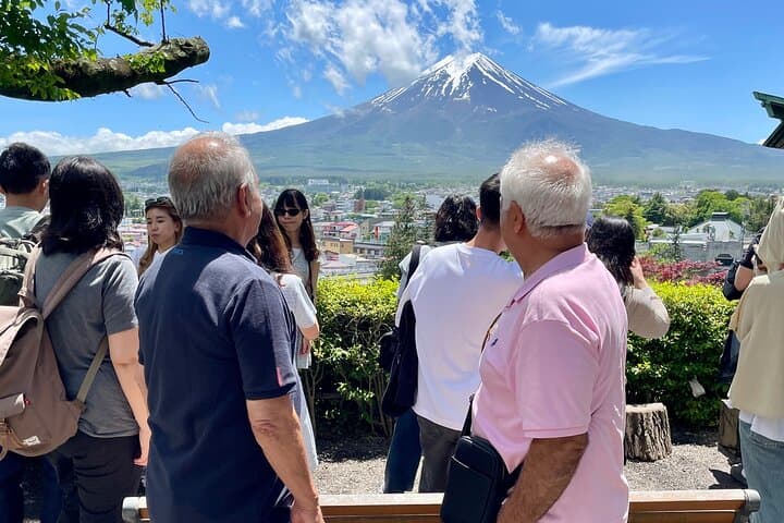 Tokyo: Customized Mt. Fuji & Hakone Sightseeing Private Day Trip — photo 9