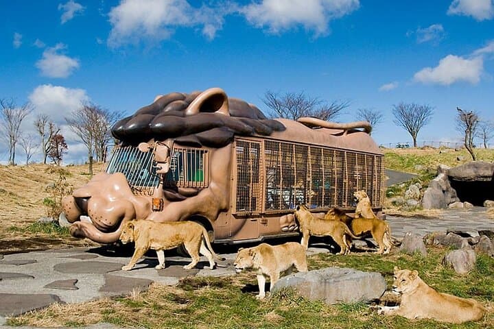 Yufuin Kyushu Wildlife Park Beppu Jigoku Day Tour from Fukuoka — photo 6