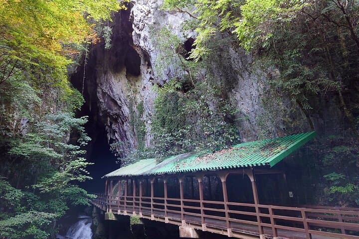 Kitakyushu Akiyoshido Cave Motonosumi Shrine Tour from Fukuoka — photo 4