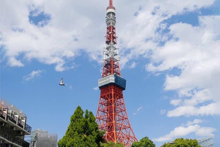 Half day Tokyo Tour by Hato Bus — photo 8