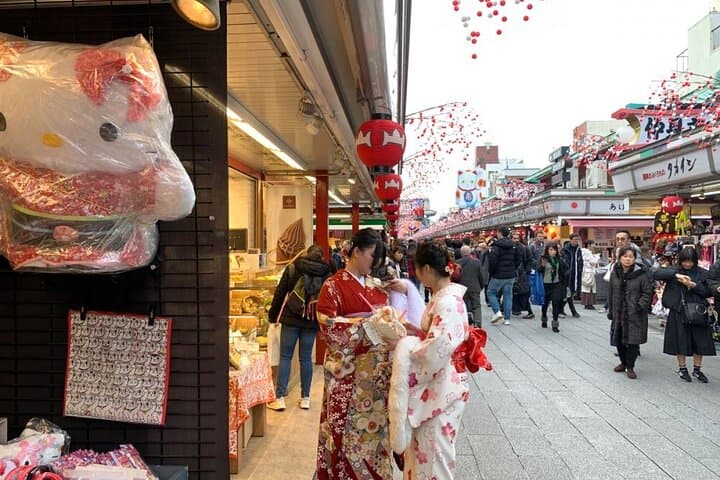 Half day Tokyo Tour by Hato Bus — photo 13