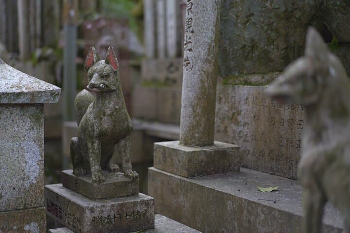1-Day Kyoto and Nara Highlights Day Trip with a Private Car — photo 7