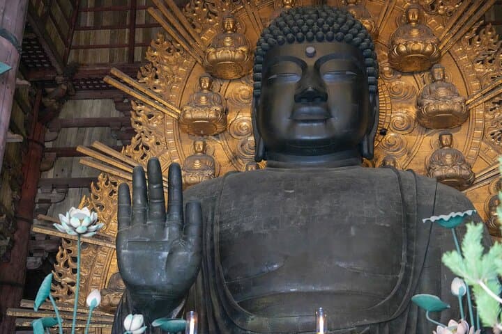1-Day Kyoto and Nara Highlights Day Trip with a Private Car — photo 9