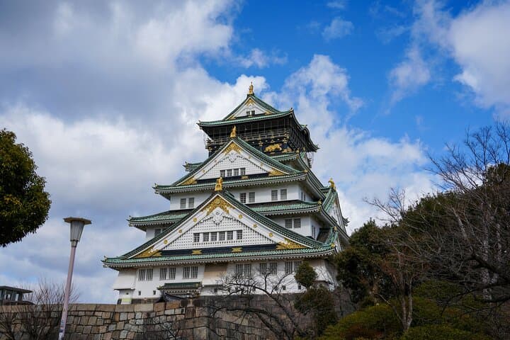 1-Day Kyoto and Nara Highlights Day Trip with a Private Car — photo 19