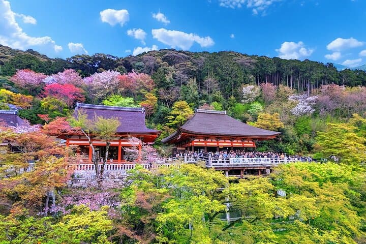 Osaka / Kyoto: Kinkaku-ji, Kiyomizu-dera Temple, Sannenzaka & Uji — photo 11