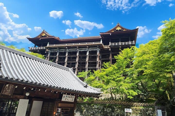 Kyoto & Uji: Full Day Sightseeing Tour from Osaka or Kyoto — photo 10