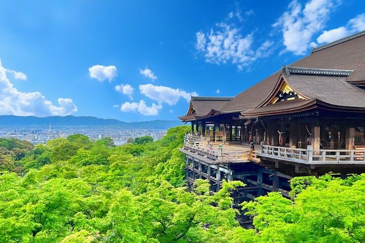 Kyoto & Uji: Full Day Sightseeing Tour from Osaka or Kyoto — photo 9