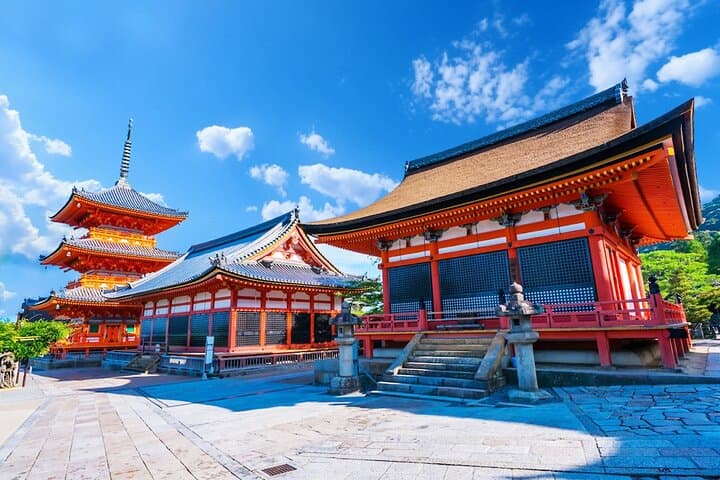 Kyoto & Uji: Full Day Sightseeing Tour from Osaka or Kyoto — photo 14