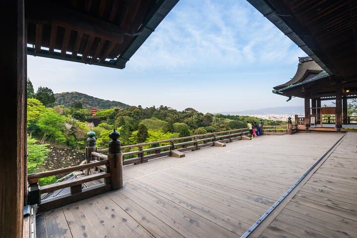 Kyoto & Uji: Full Day Sightseeing Tour from Osaka or Kyoto — photo 11
