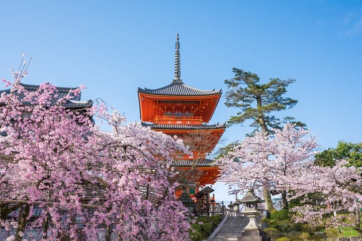 Kyoto & Uji: Full Day Sightseeing Tour from Osaka or Kyoto — photo 15